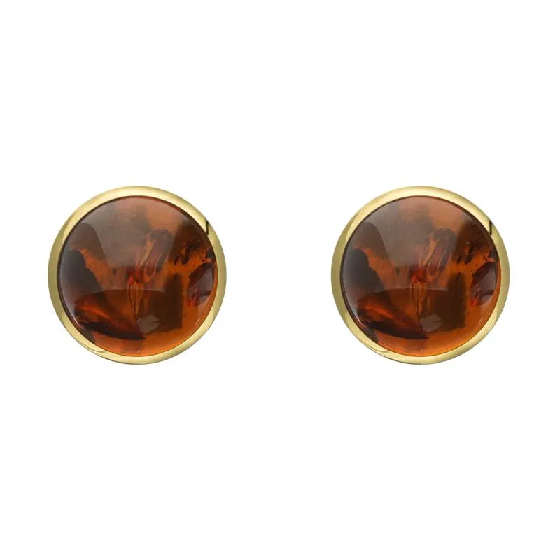 9ct Yellow Gold Amber 6mm Classic Medium Round Stud Earrings