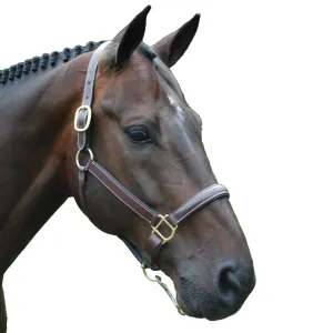 Red Barn by KL Select Halter Crown Replacement