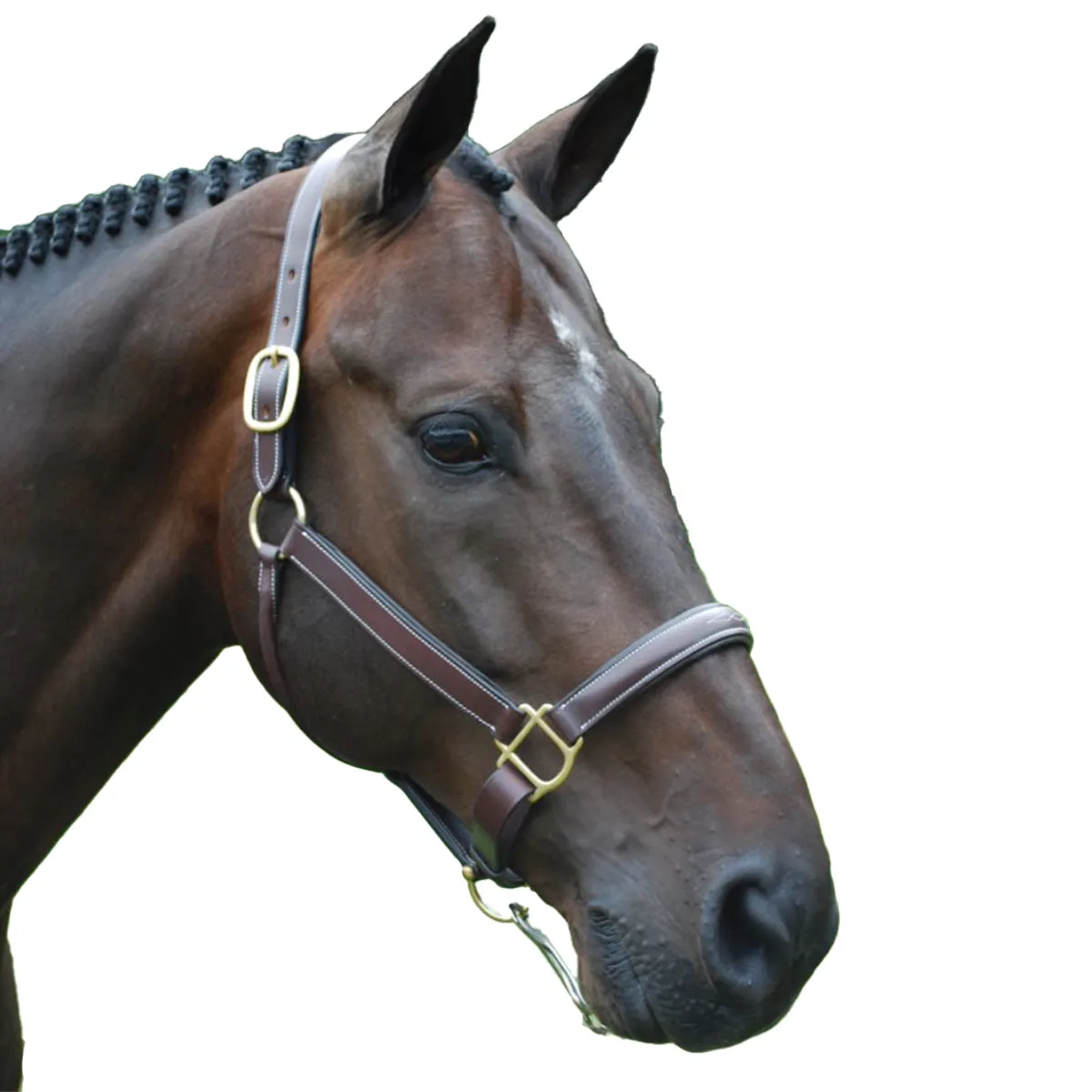 Red Barn by KL Select Halter Crown Replacement