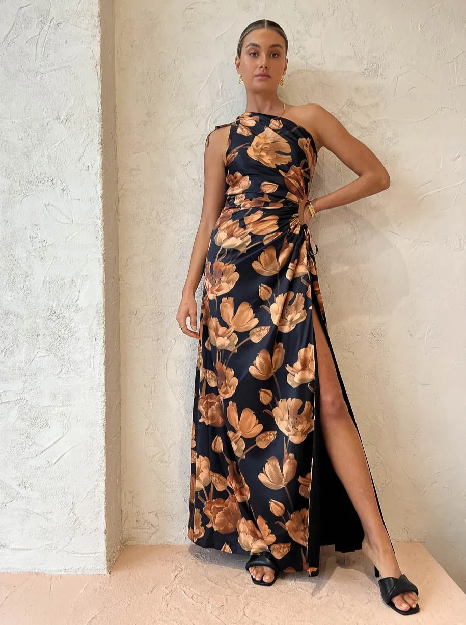 Sonya Nour Marabella Floral Maxi Dress in Marabella Floral